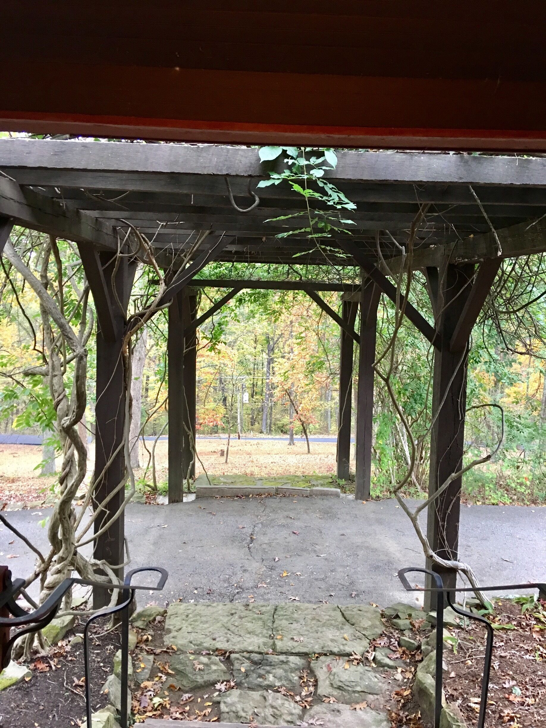 A wooden gazebo with a view of a forested area.
