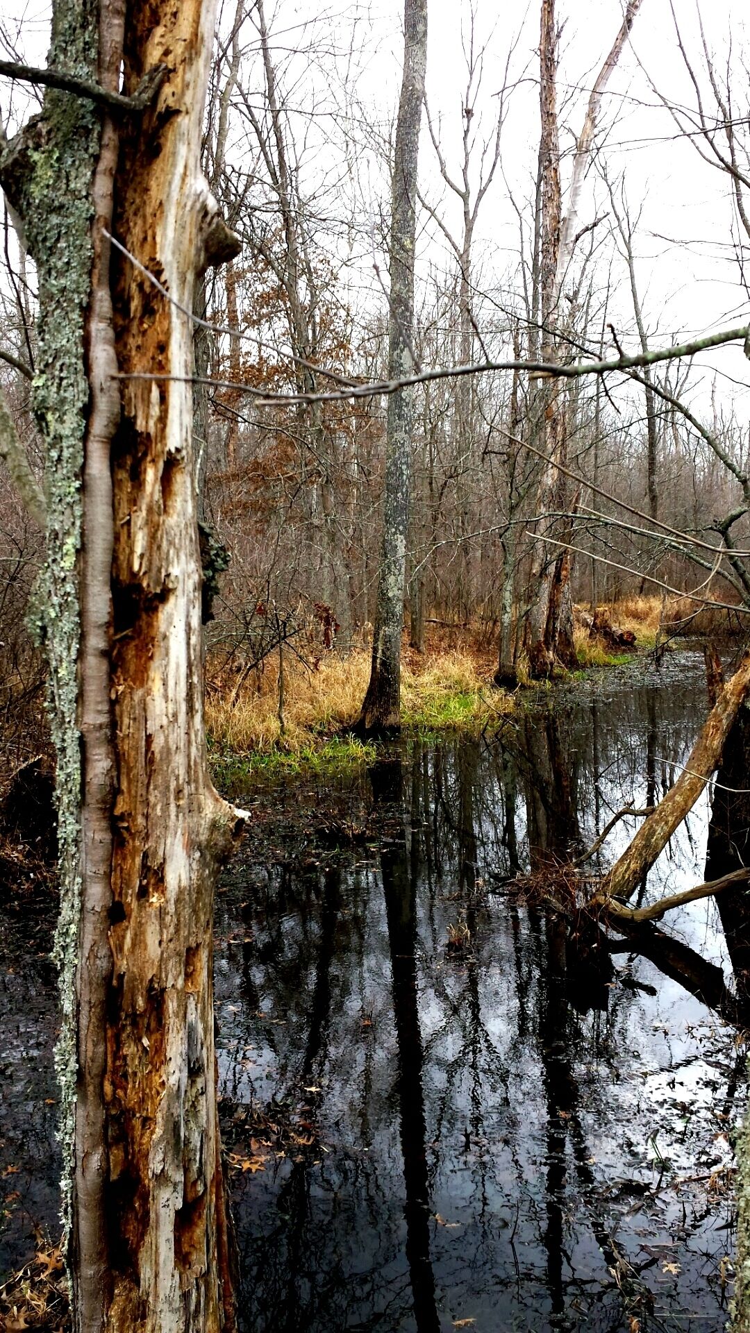Beautiful place to get back to nature, absolutely free, stunning views, cited a bald eagle while there! Even in December definitely worth spending the day there