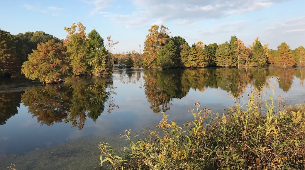 Beautiful walk around the lake.