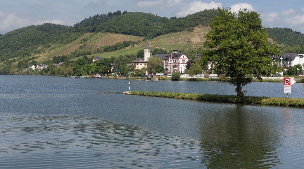 Bullay, view to the village with church (die Katholische Pfarrkirche Sankt Maria Magdalena)