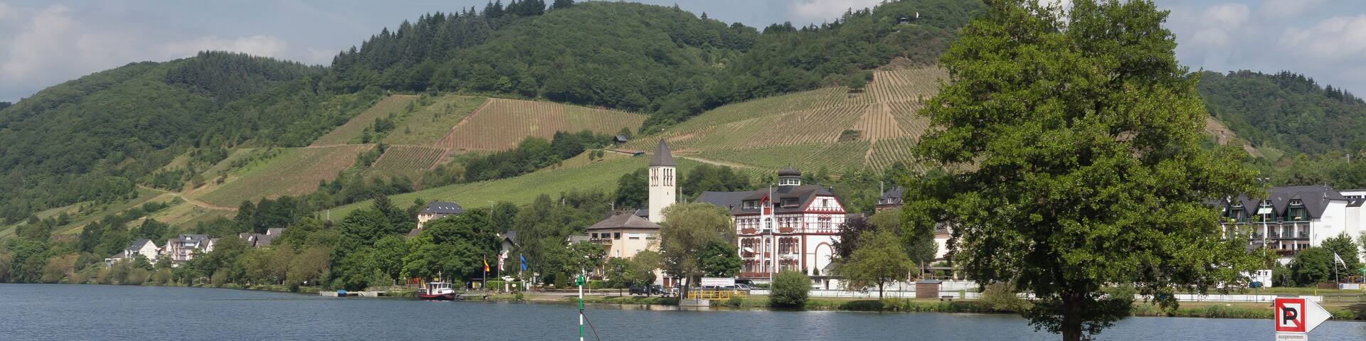 Bullay, view to the village with church (die Katholische Pfarrkirche Sankt Maria Magdalena)