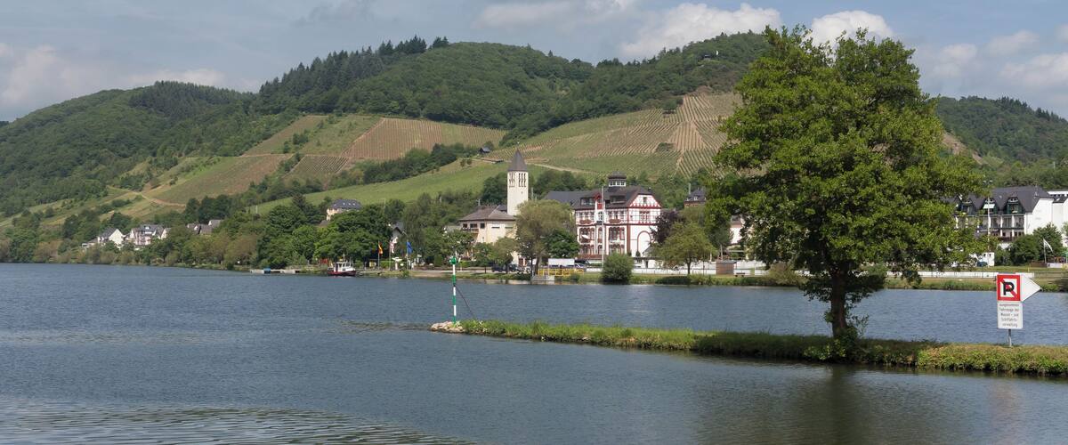 A calm lake with a tree in the foreground, a no parking sign, and buildings on the opposite shore.