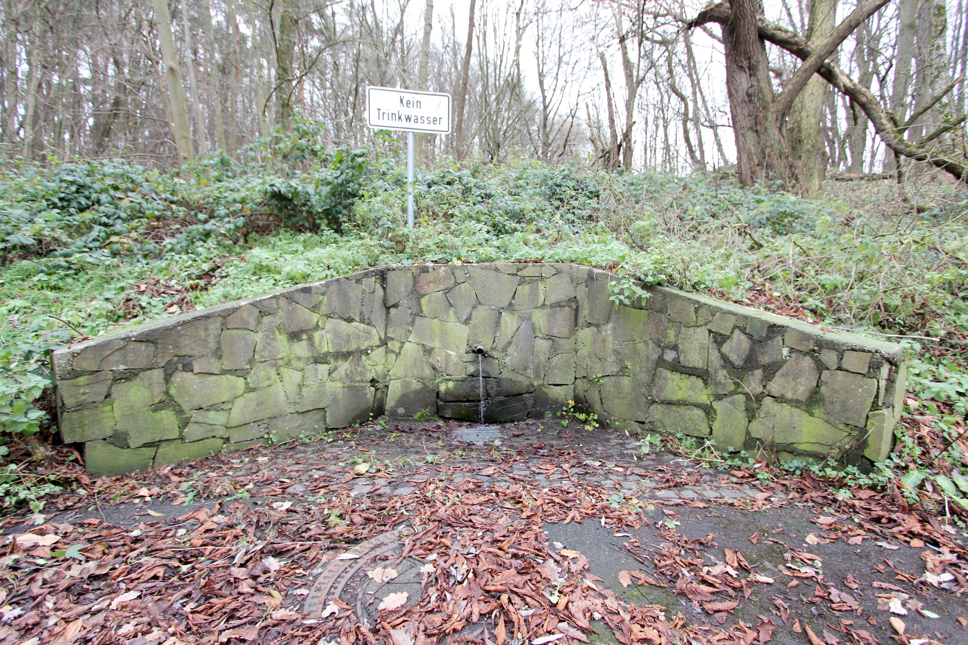 53505 Altenahr, an der B257, nahe Sommerrodelbahn. Brunnen an einer Raststätte. Aufnahme von 2017.