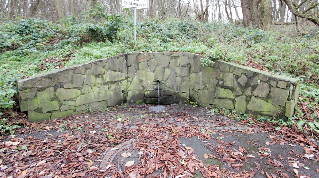 53505 Altenahr, an der B257, nahe Sommerrodelbahn. Brunnen an einer Raststätte. Aufnahme von 2017.