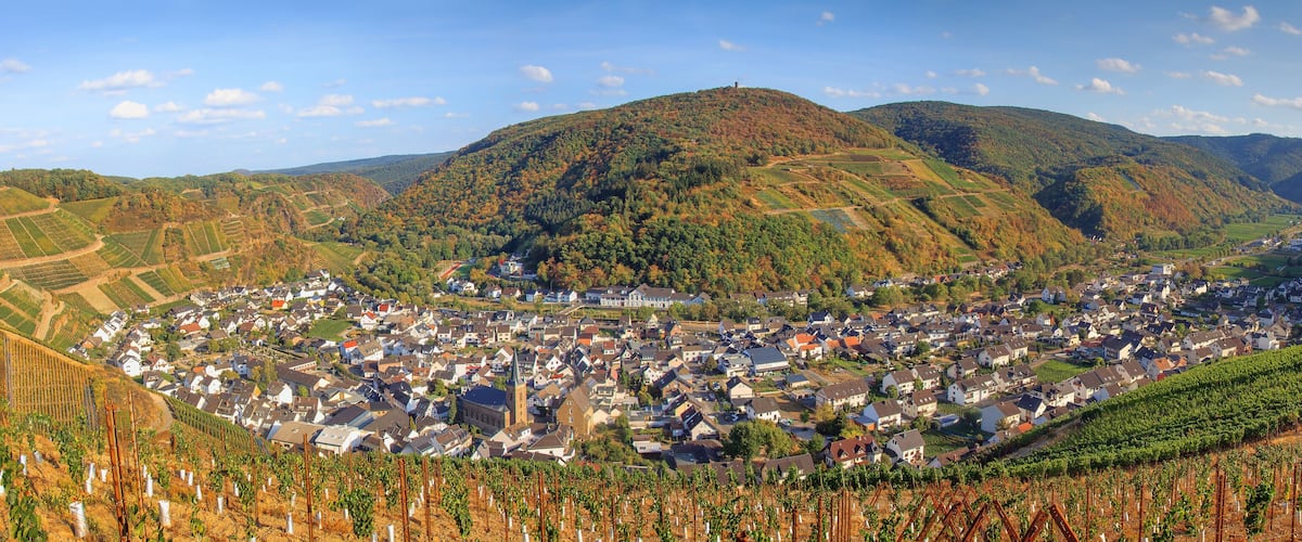 A town nestled in a valley with vineyards and rolling hills.
