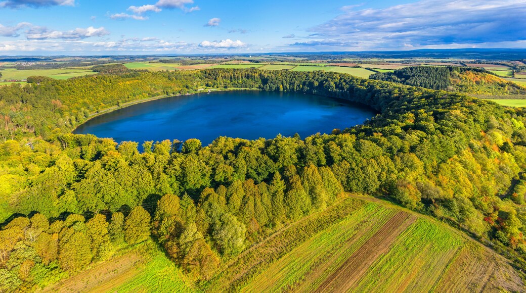 A lake surrounded by dense forest and agricultural fields under a clear sky.