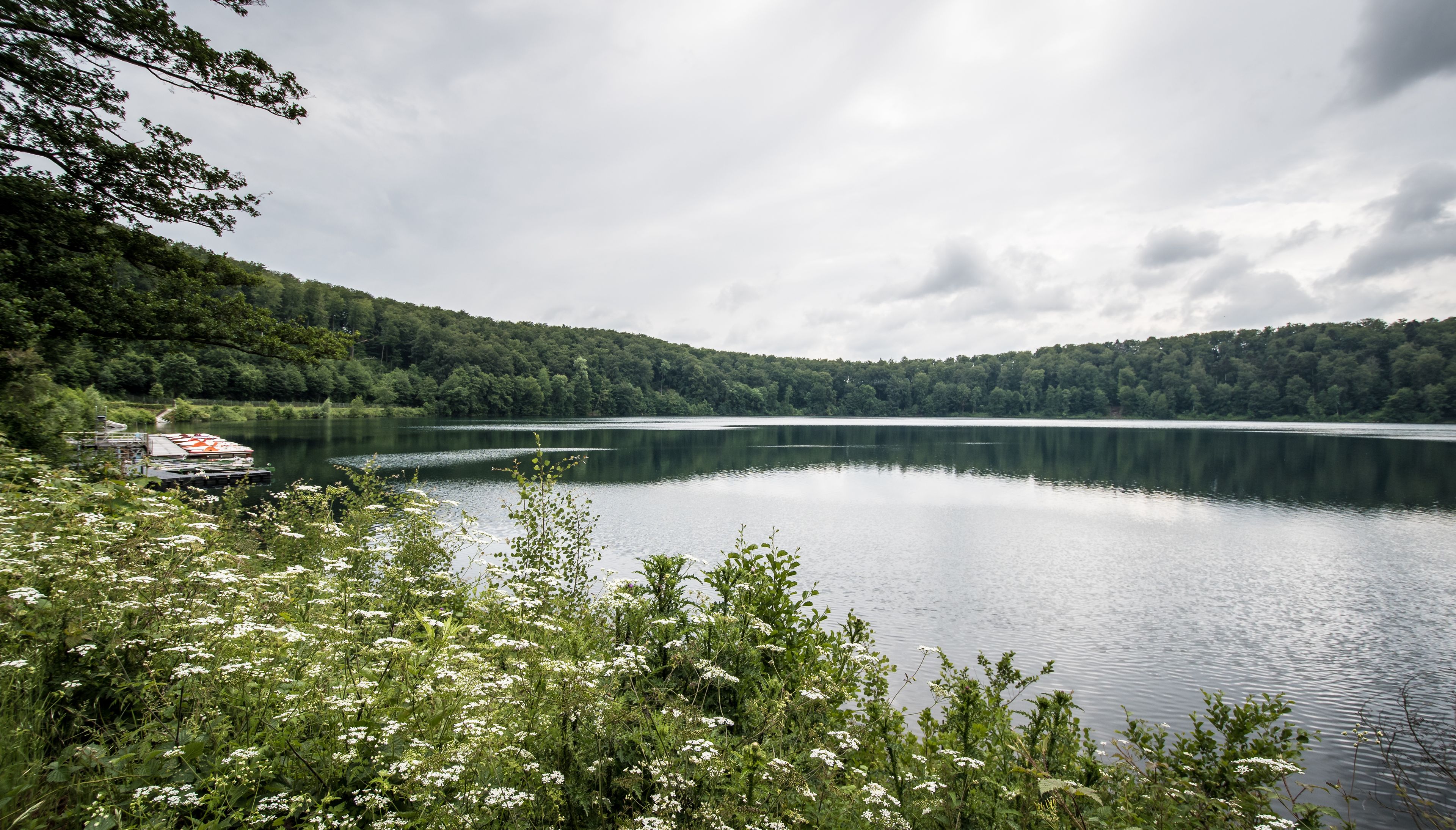 Pulvermaar in der Eifel bei Gillenfeld, Deutschland