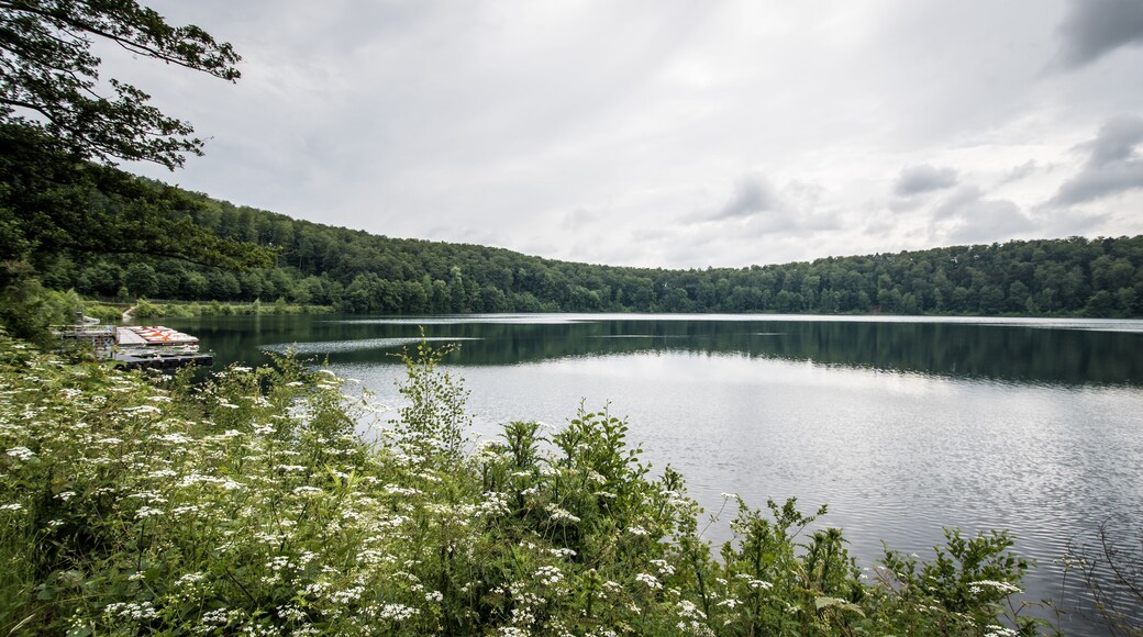 A calm lake surrounded by dense forest, with a boat docked on the left.
