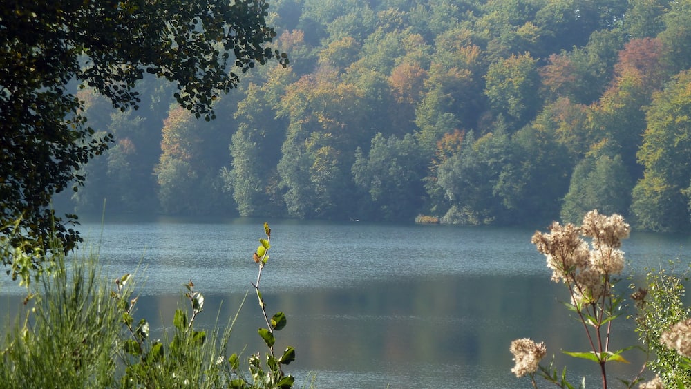 Ein ruhiger See, umgeben von dichtem Wald mit Herbstlaub.