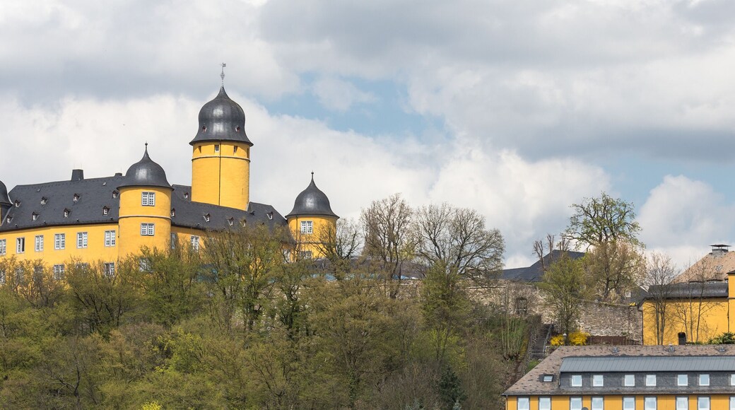 castle montabaur germany