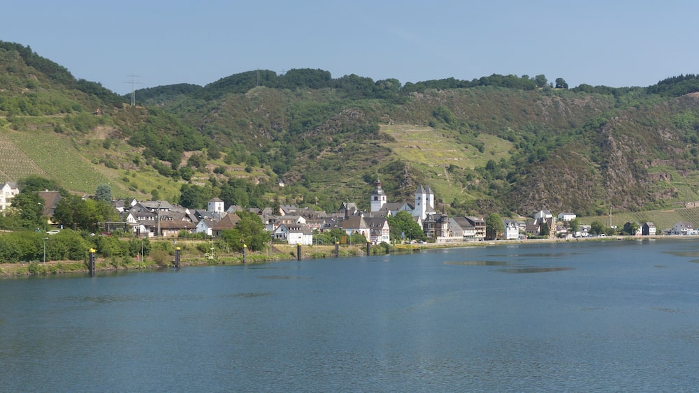 Une ville riveraine, avec des bâtiments et des vignobles sur les collines.