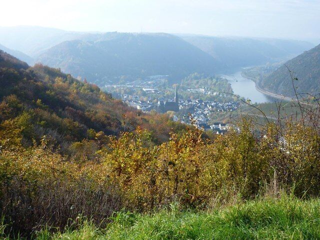 Blick auf Treis-Karden im Moseltal