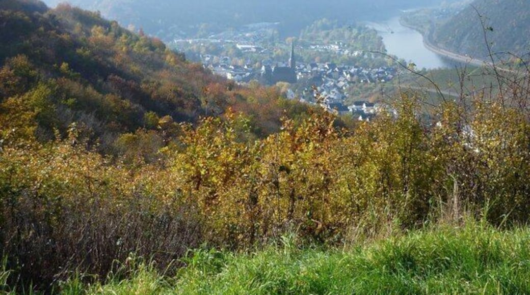 Blick auf Treis-Karden im Moseltal