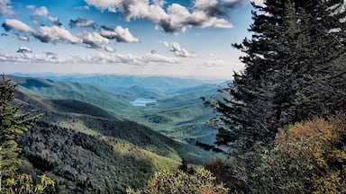 A mountainous landscape with dense forests and a valley.