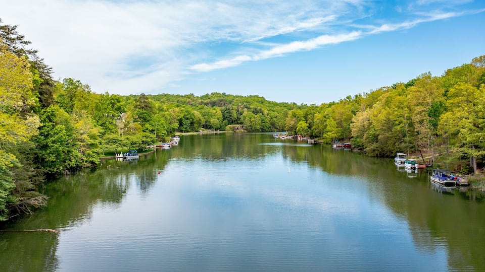 A calm river surrounded by lush green trees and boats docked along the shore.