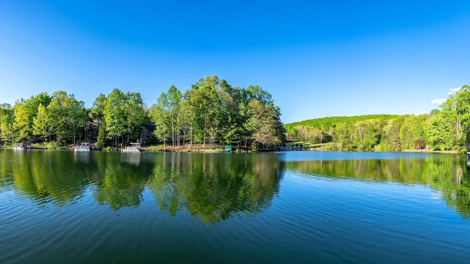 A calm lake with dense green trees reflecting on the water, surrounded by hills.