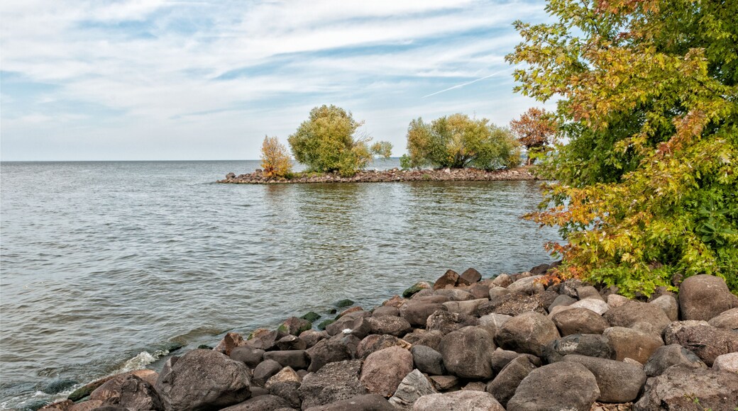 Appleton