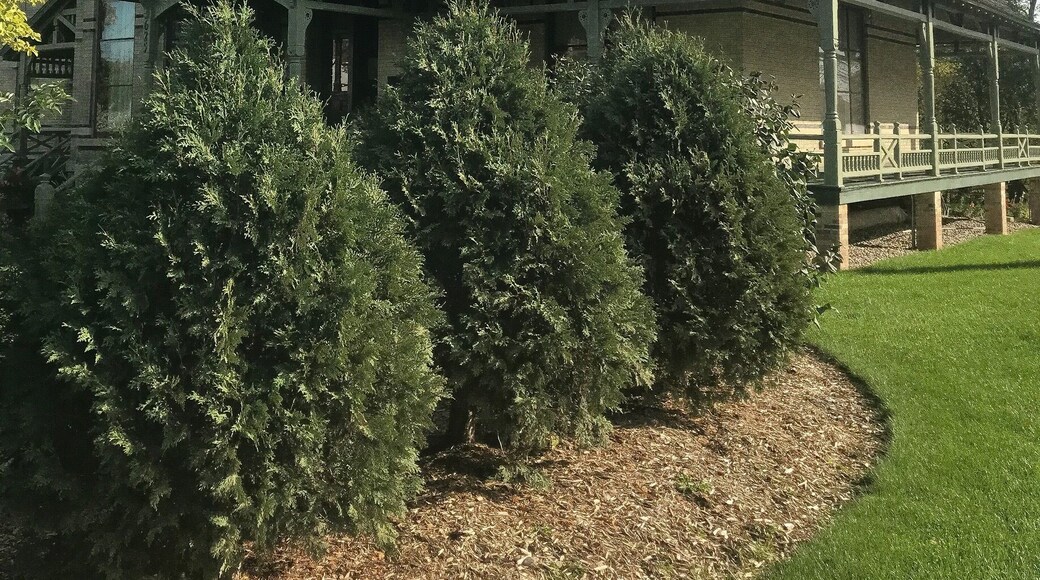 The Hearthstone Historic House Museum is a historic home in Appleton, Wisconsin, United States that has been converted into a museum. On September 30, 1882, it became the first residence in the world powered by a centrally located hydroelectric station using the Edison system.
At that time, the house was the residence of Henry James Rogers, a paper company executive and entrepreneur. It was listed on the National Register of Historic Places on December 2, 1974. The house was previously known as the Henry J. Rogers House.