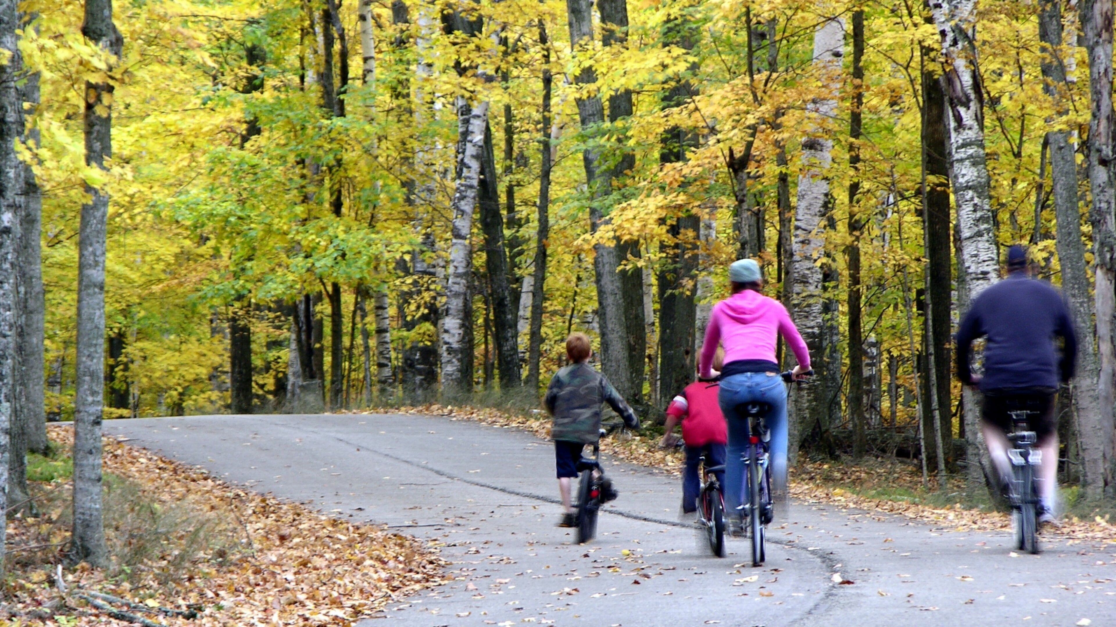 ドア半島 フィーチャー 公園, 森林 と サイクリング
