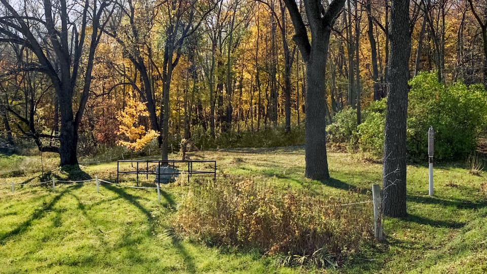 A park with a picnic table, trees with autumn foliage, and a grassy area.