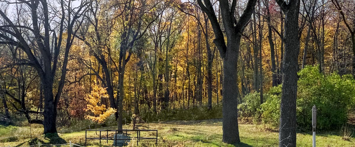 A park with a picnic table, trees with autumn foliage, and a grassy area.