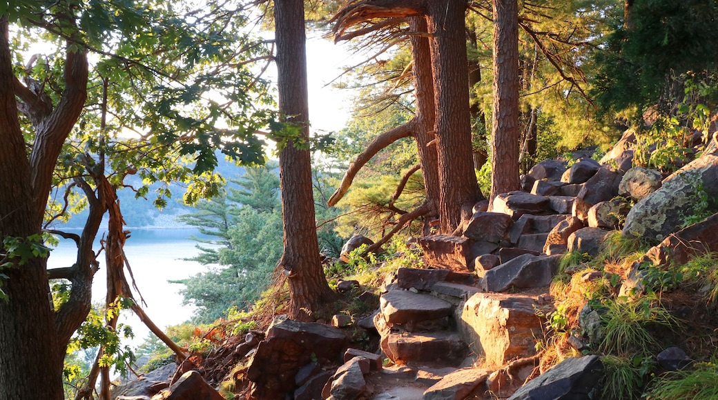 Beautiful Wisconsin summer nature background. Ice age hiking trail and stone stairs in sunlight during sunset hours. Devil's Lake State Park, Baraboo area, Wisconsin, Midwest USA.