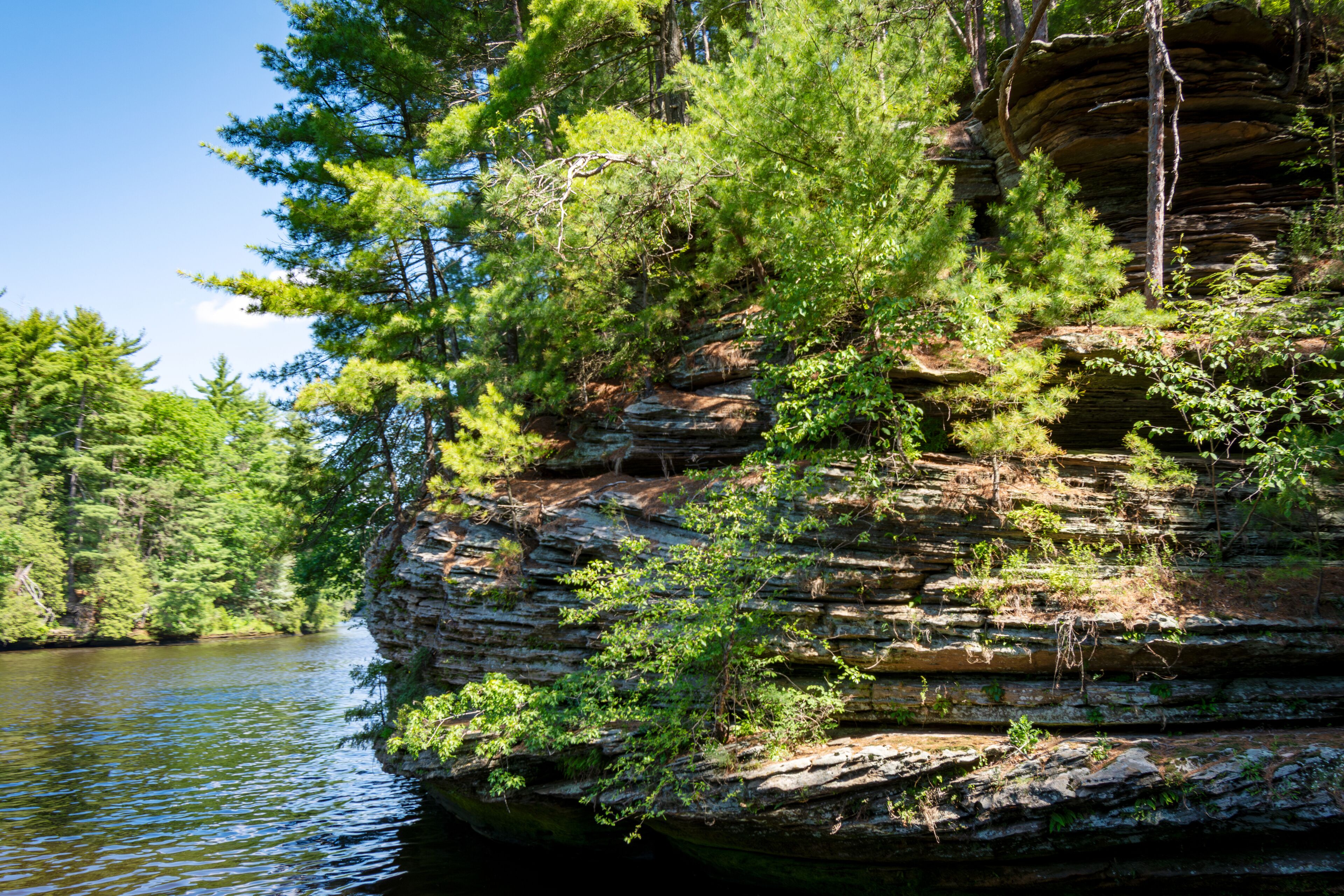 The Cambrian sandstone bluffs along the Wisconsin River in the Wisconsin Dells.