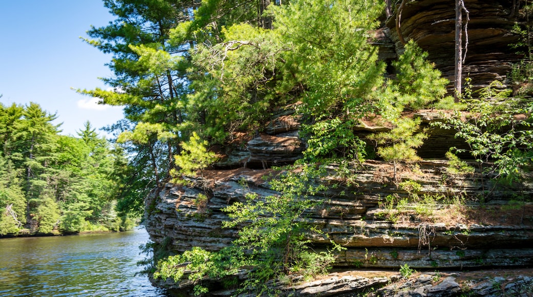 The Cambrian sandstone bluffs along the Wisconsin River in the Wisconsin Dells.