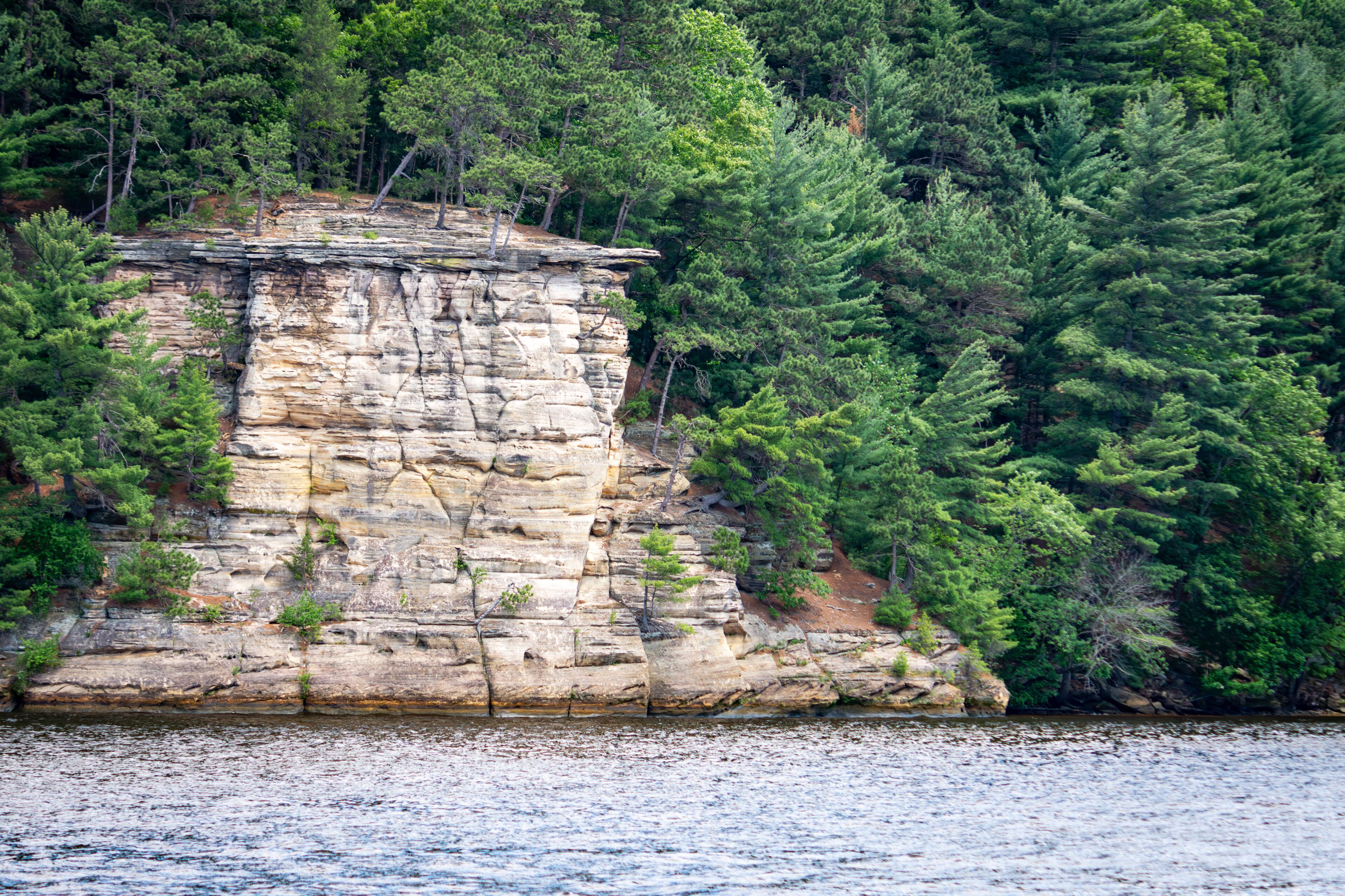 Bluffs of  Cambrian sandstone  along the Wisconsin River in the Wisconsin Dells.