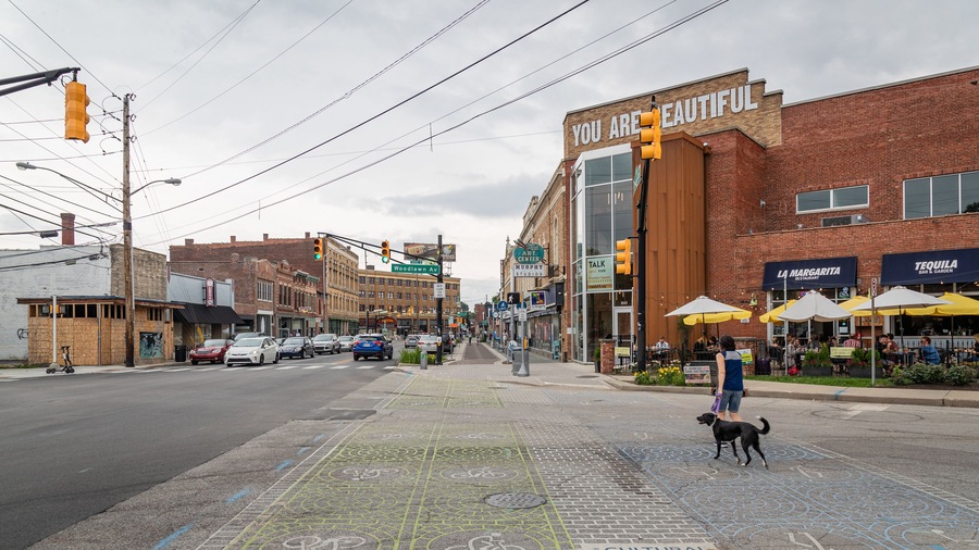 Downtown Indianapolis showing cuddly or friendly animals and street scenes as well as an individual femail