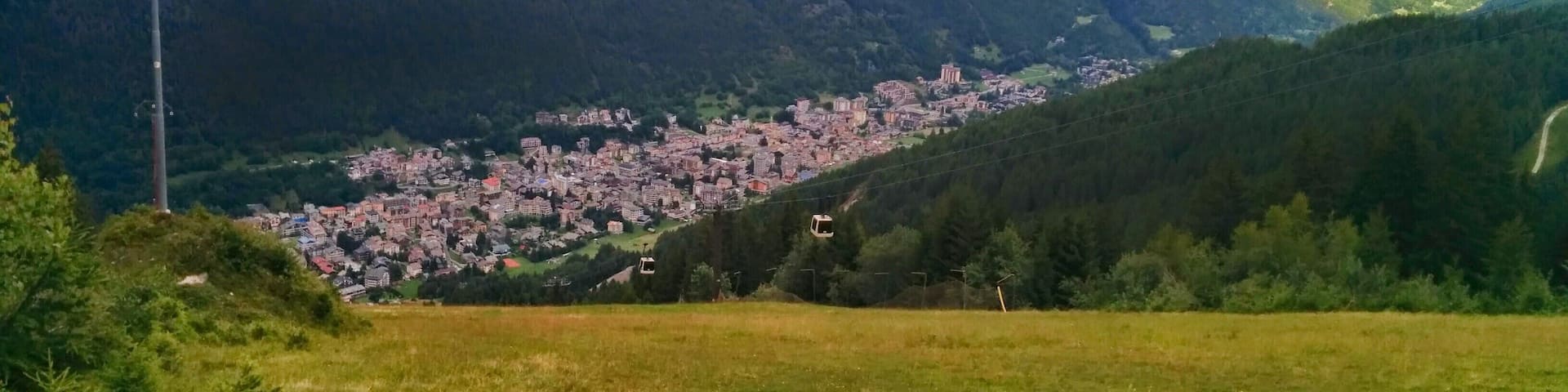 Aprica dalla Magnolta