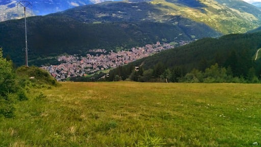 Aprica dalla Magnolta