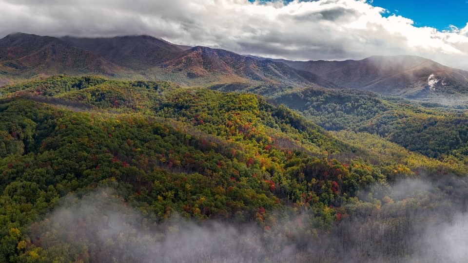 A mountainous landscape with dense forests and mist-covered peaks.