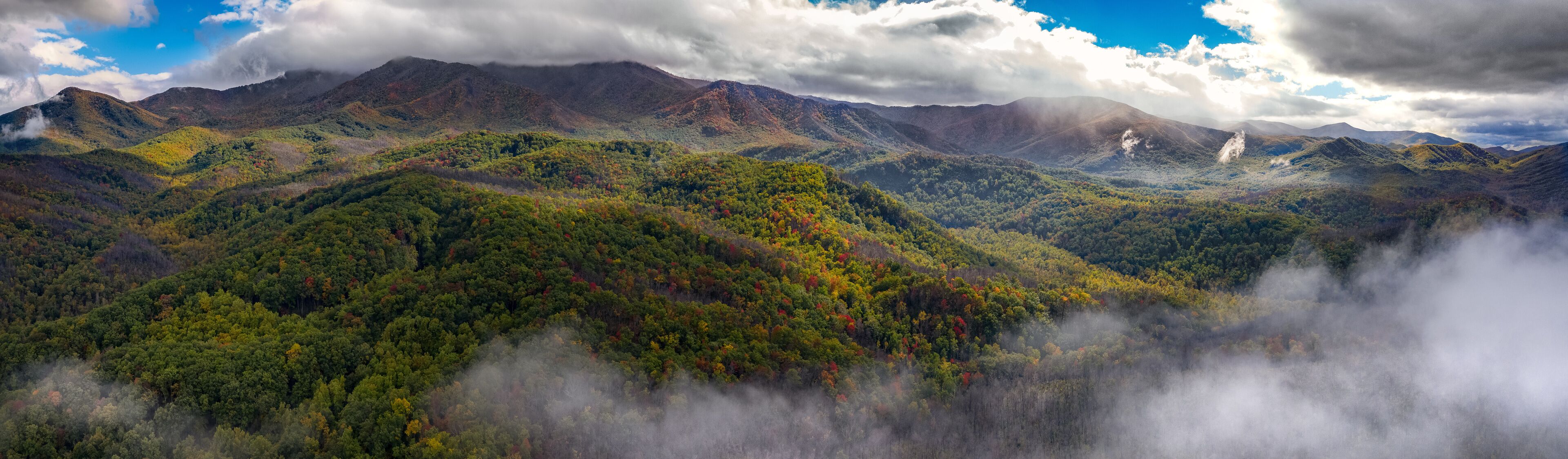 A mountainous landscape with dense forests and mist-covered peaks.