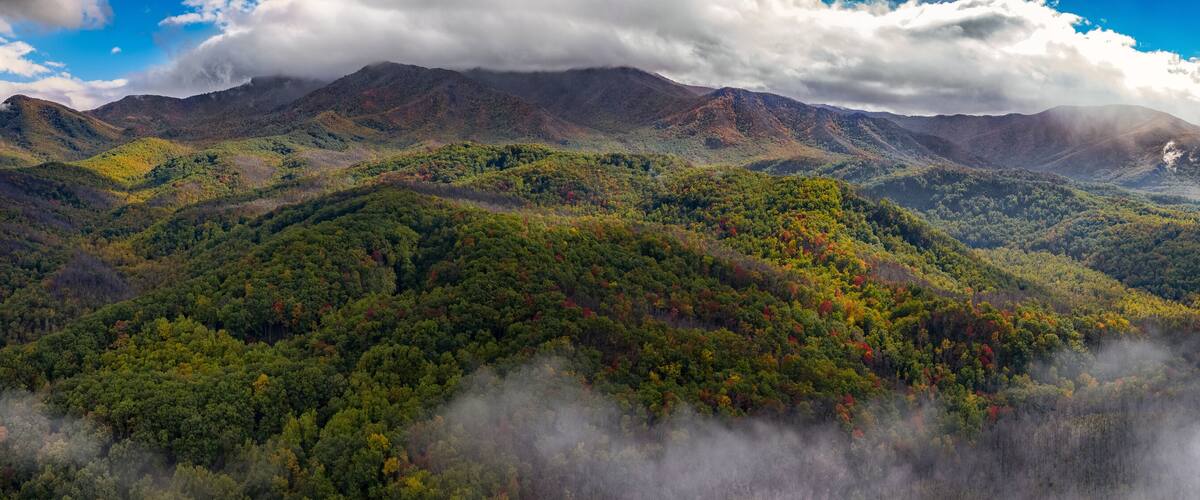 A mountainous landscape with dense forests and mist-covered peaks.
