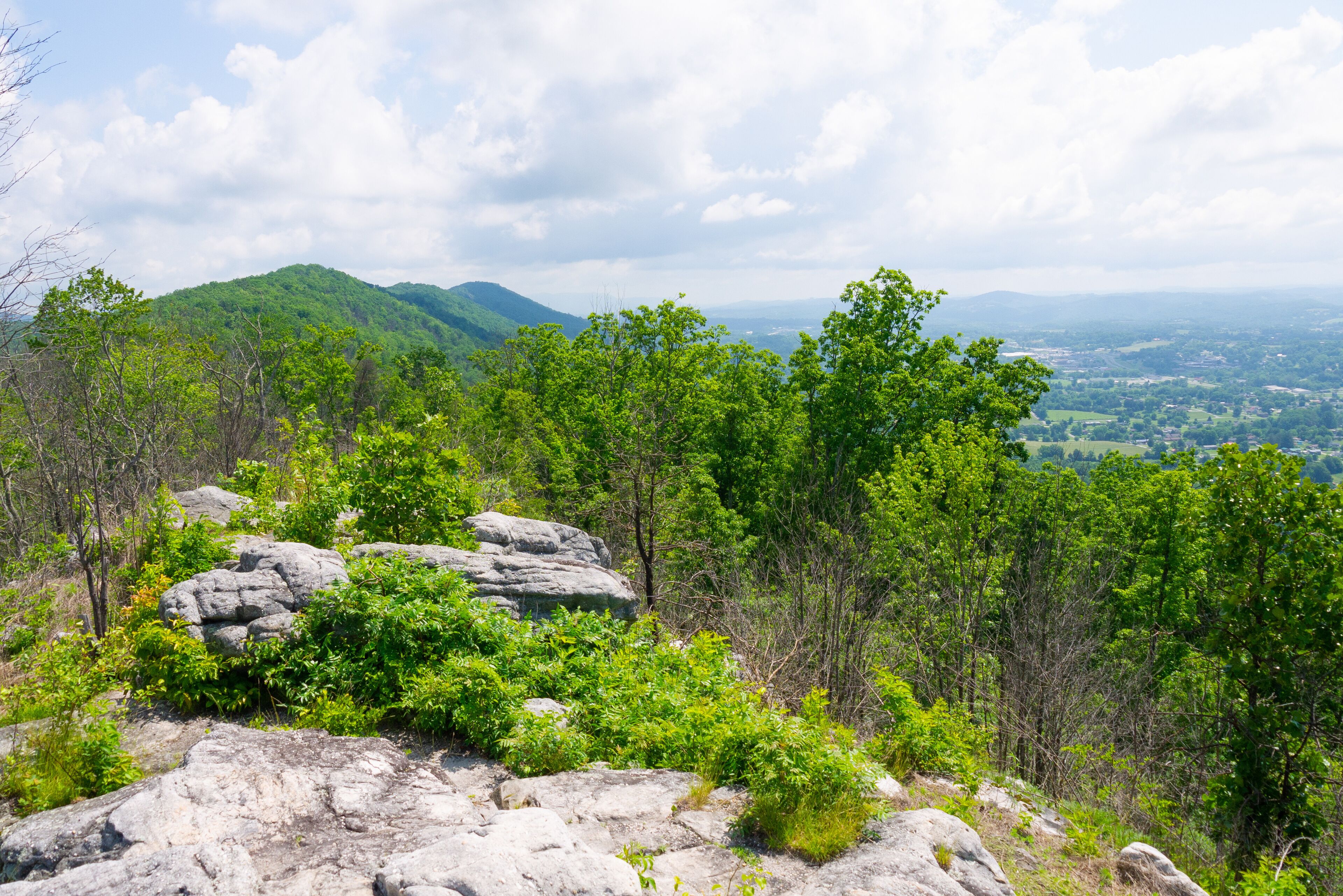 View of Cumberland Trail from Devils Racetrack Ridge