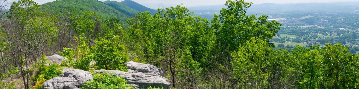 View of Cumberland Trail from Devils Racetrack Ridge