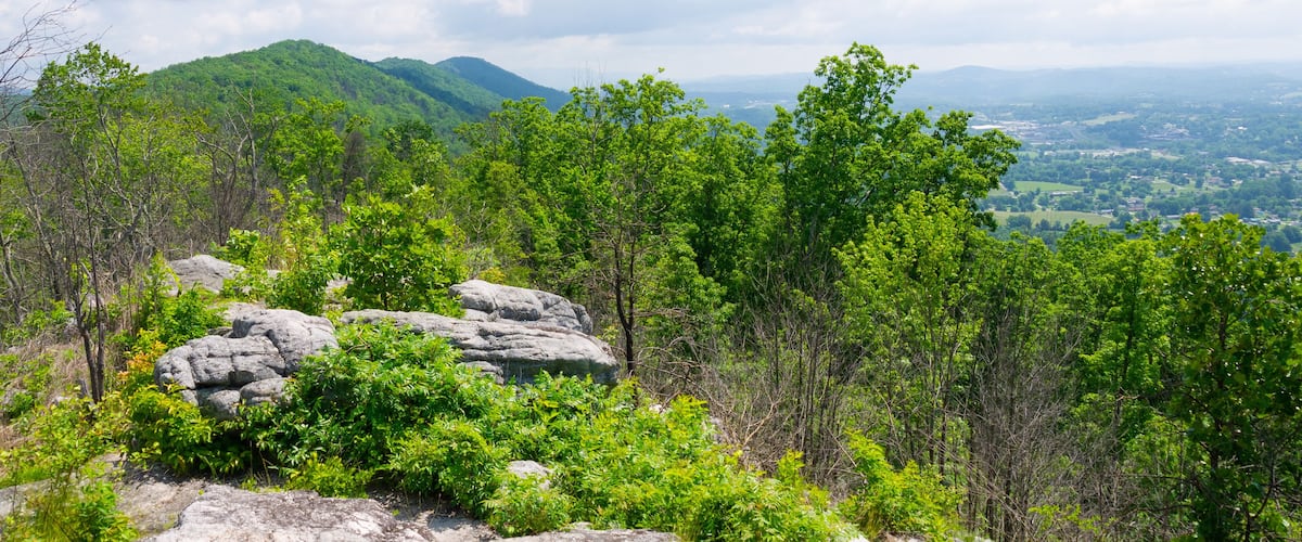A mountainous landscape with dense green foliage and rocky outcrops.
