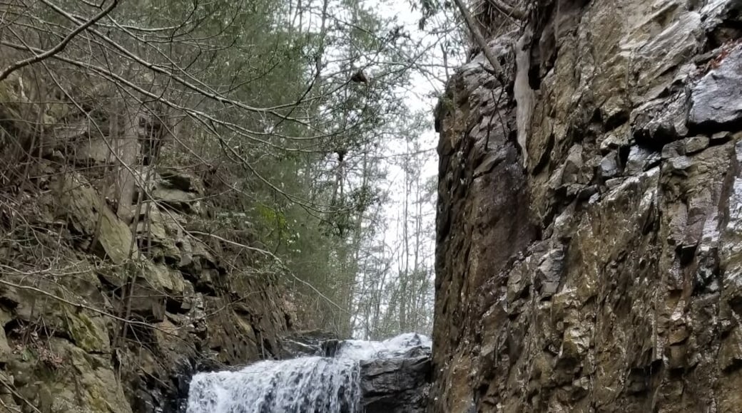 One of the many falls at The Triple Falls trail