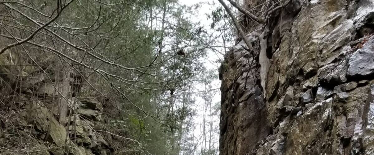 One of the many falls at The Triple Falls trail