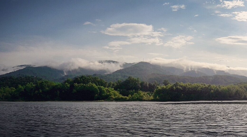 Amazing spot in #Tennessee to #kayak, #canoe, #paddleboard, or #hike. Also great for #fishing and #birdwatching. #Wanderlust #Explore #Adventure #GreatOutdoors #StateParks