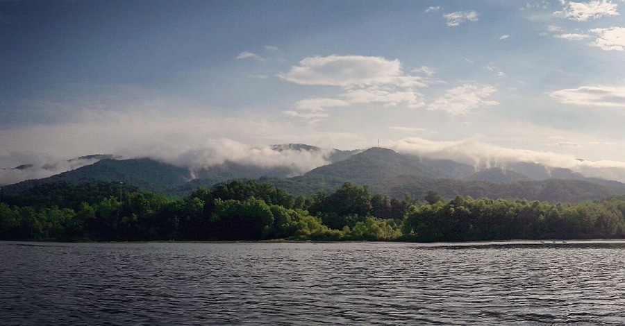 Amazing spot in #Tennessee to #kayak, #canoe, #paddleboard, or #hike. Also great for #fishing and #birdwatching. #Wanderlust #Explore #Adventure #GreatOutdoors #StateParks