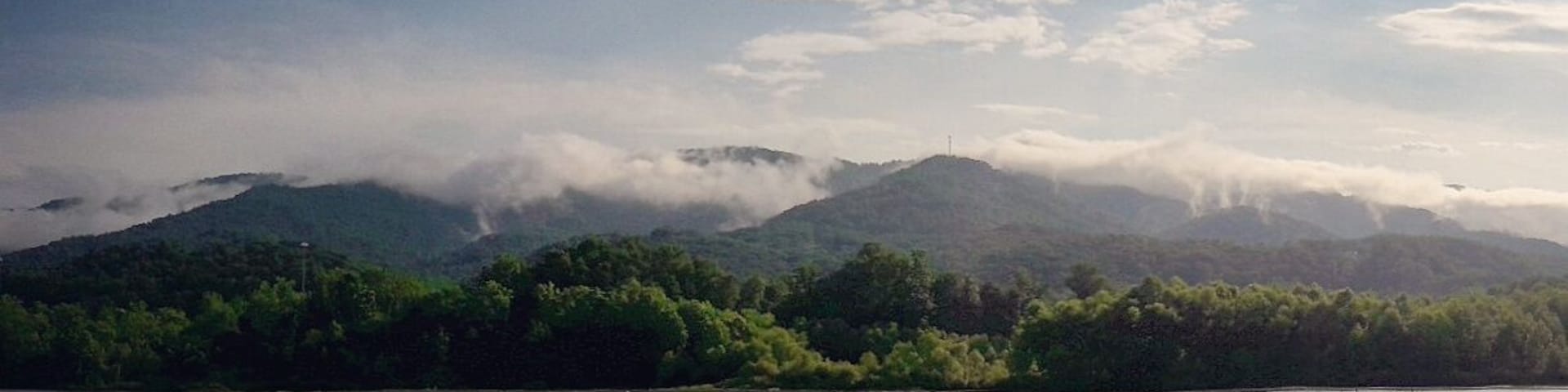 Amazing spot in #Tennessee to #kayak, #canoe, #paddleboard, or #hike. Also great for #fishing and #birdwatching. #Wanderlust #Explore #Adventure #GreatOutdoors #StateParks