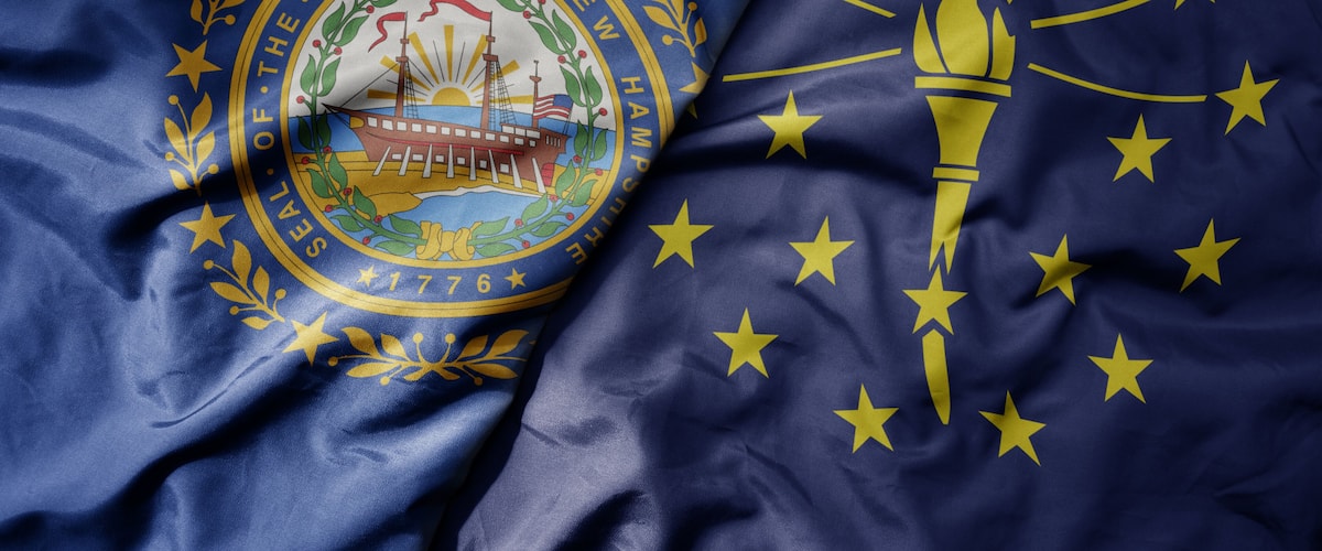The flag of New Hampshire with the state seal and stars.
