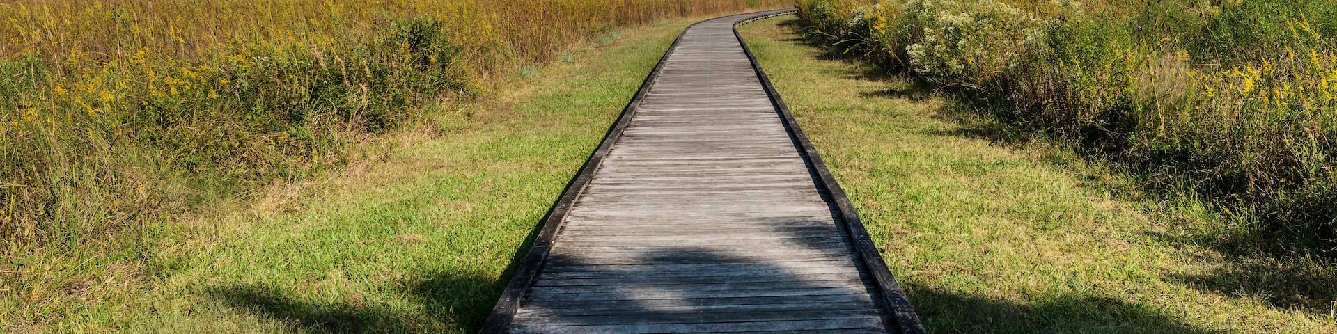 Wooden Boardwalk Trail Through Golden Prairie Wetlands at Sheldon Lake State Park, Texas