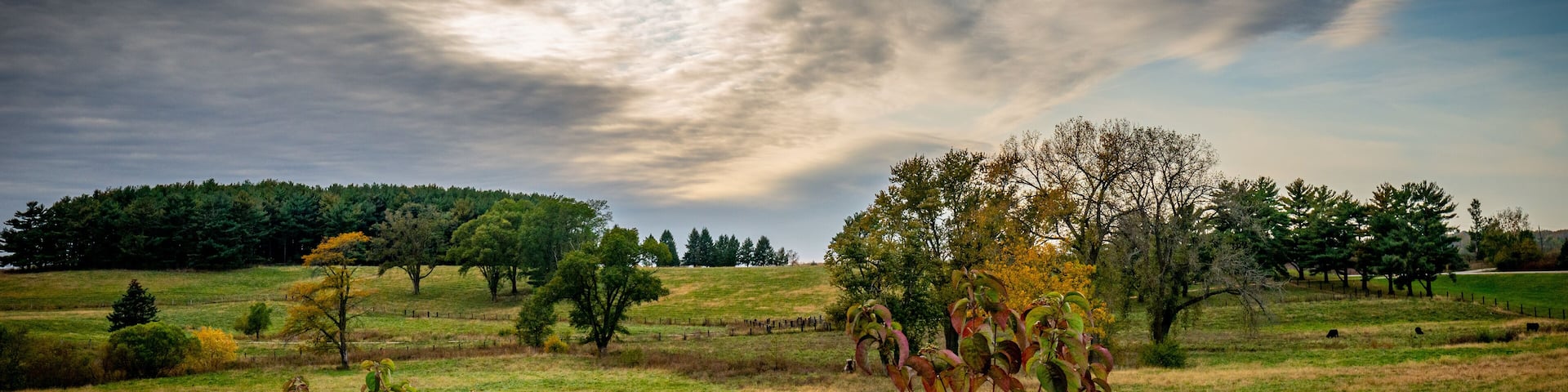 Walnut State Park, Des Moines, Iowa