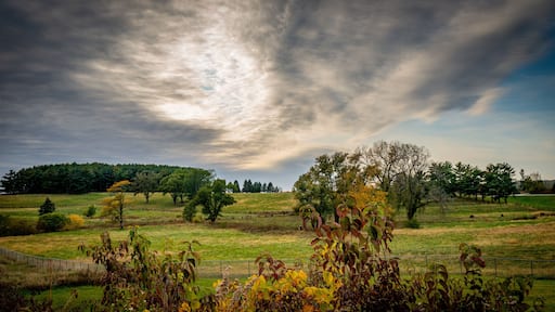 Walnut State Park, Des Moines, Iowa