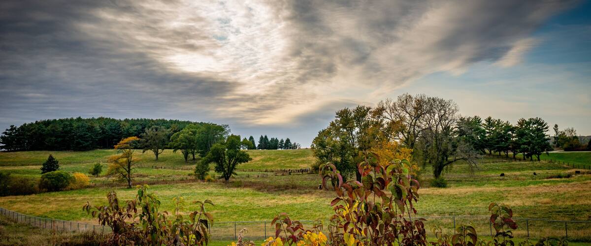A rural landscape with a cloudy sky, a fenced field, and a line of trees in the background.