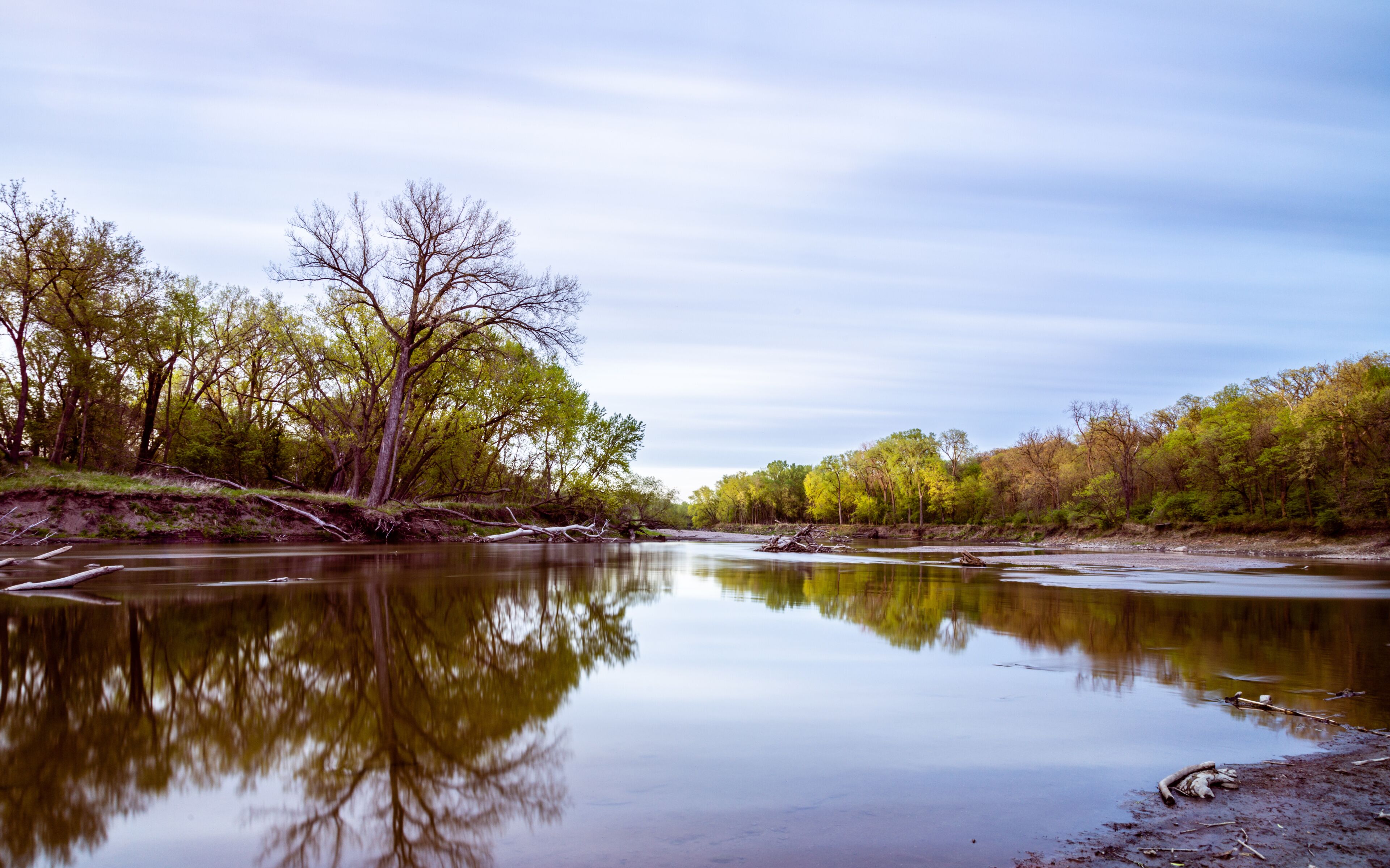 Algona