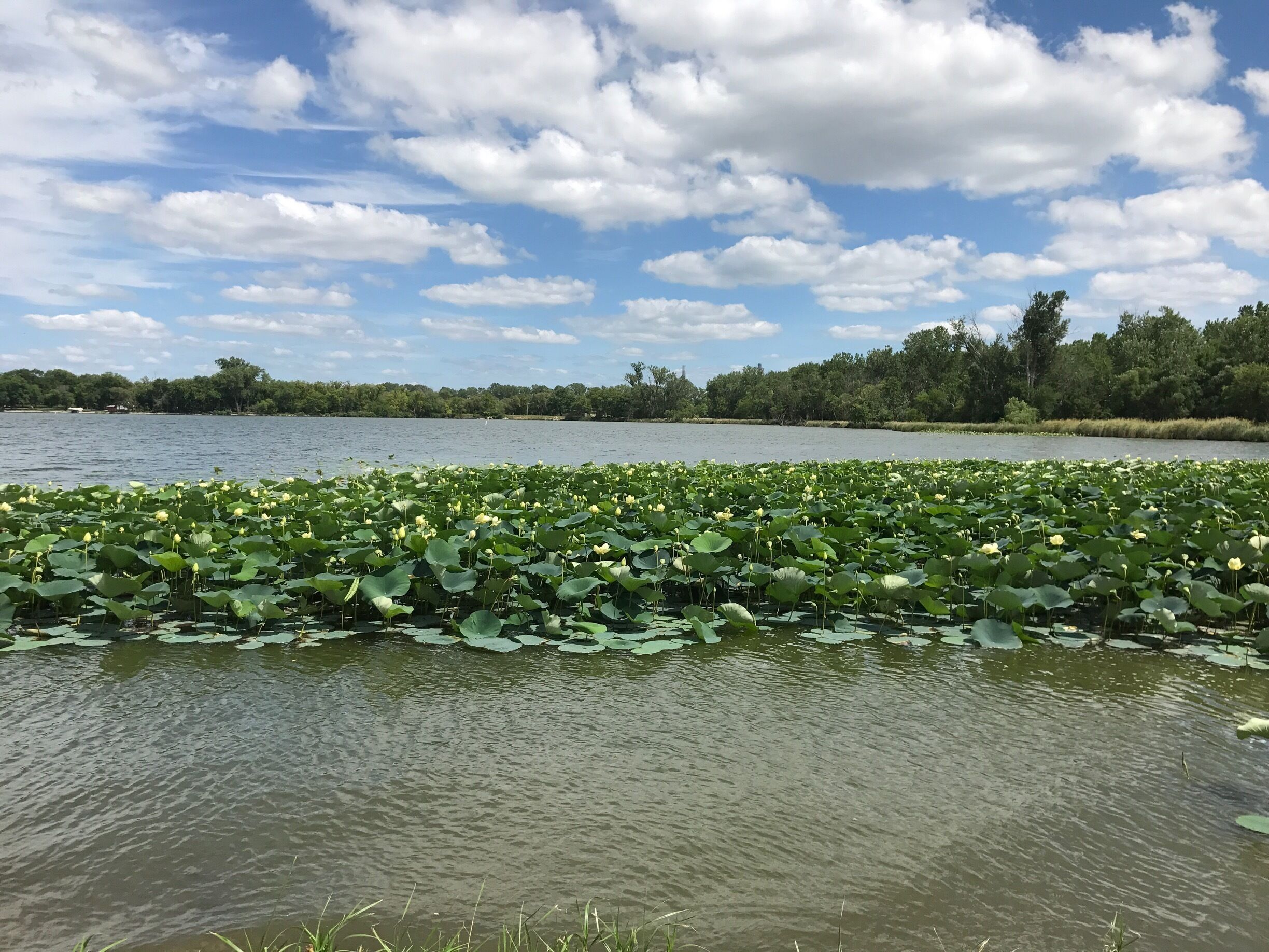 Just a beautiful day.